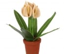  Blumentopf