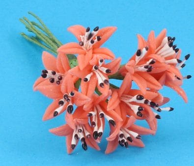 Fw2004 - Blumen in Korallenfarbe