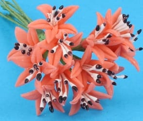 Fw2004 - Flores color coral