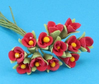 Fw2007 - Flores rojas