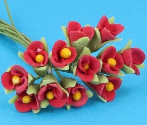 Fw2007 - Flores rojas