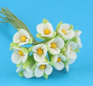 Fw2008 - Fiori bianchi