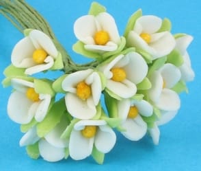 Fw2008 - Fiori bianchi