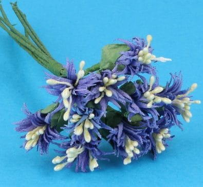 Fw2011 - Fiori viola