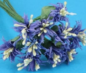 Fw2011 - Fiori viola