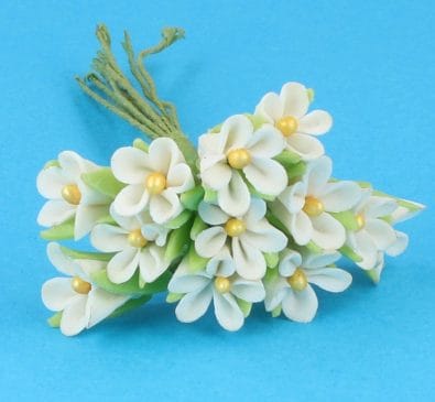 Fw2015 - Weiße Blumen