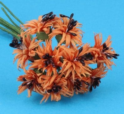 Fw2017 - Orangene Blüten