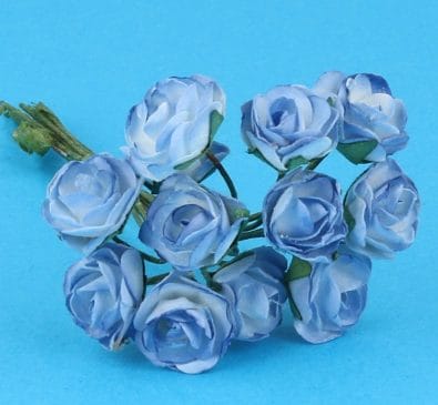 Fw2018 - Fleurs bleues