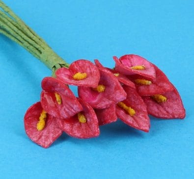 Fw2019 - Fleurs rouges