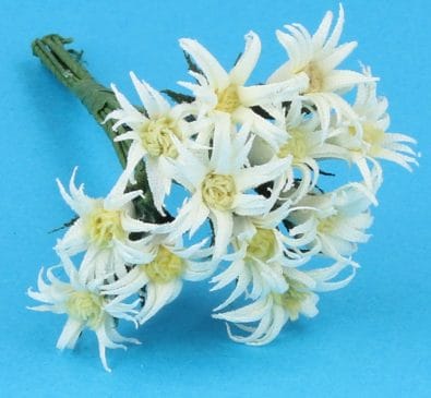 Fw2021 - Fleurs blanches