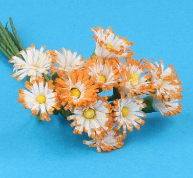 Fw2022 - Orange und weiße Blumen