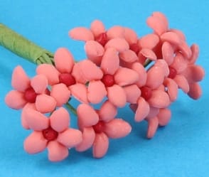 Fw2025 - Fleurs roses