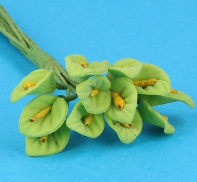 Fw2026 - Grüne Blumen