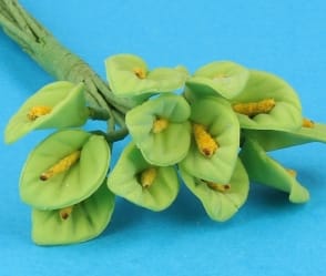 Fw2026 - Fleurs vertes