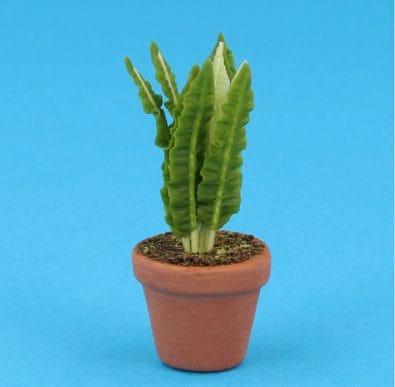 Sm8318 - Pot with plant