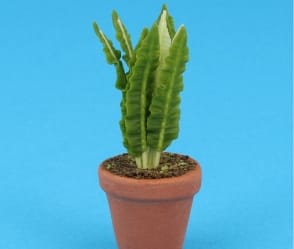 Sm8318 - Pot with plant