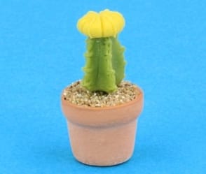 Sm8006 - Cactus