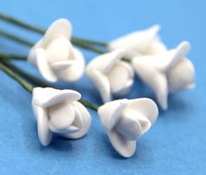 Tc0062 - Flores blancas