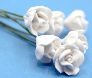 Tc0139 - Flores blancas