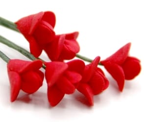 Tc0144 - Flores rojas