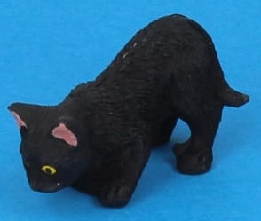 Tc2378 - Gato negro