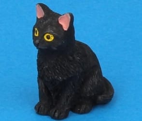 Tc2379 - Gato negro