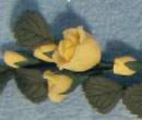 Tc0266 - Gelbe Kletterpflanze