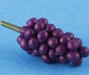 Sm7119 - Red grapes noir